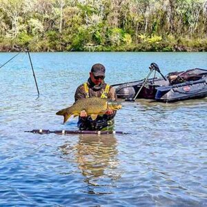 Guidage carpe en rivière