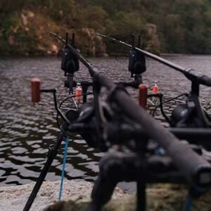 Guidage carpe en barrage